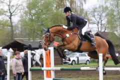 reittunier_201553_20150507_1016377886