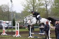 reittunier_201555_20150507_1317555312