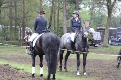 reittunier_201556_20150507_1683782377