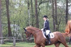 reittunier_201558_20150507_1180633162