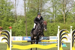 reittunier_201559_20150507_1736478153