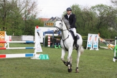 reittunier_201561_20150507_1700747376