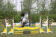 reittunier_201562_20150507_2068230983