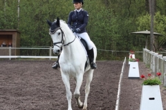 reittunier_201564_20150507_1061323652