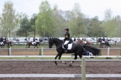 reittunier_201565_20150507_1926589001