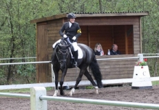 reittunier_201566_20150507_1153545056