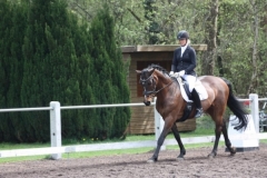 reittunier_201567_20150507_1869664872