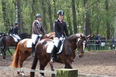 reittunier_201570_20150507_1933077905