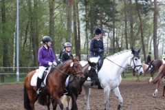 reittunier_201571_20150507_1799800941