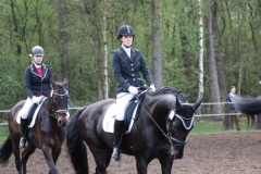 reittunier_201572_20150507_1547877997