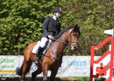 reittunier_201678_20160505_1845273635