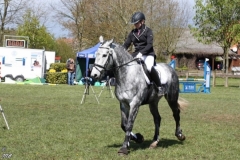 reittunier_201680_20160505_1786772637