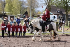 reittunier_201690_20160505_1047057950