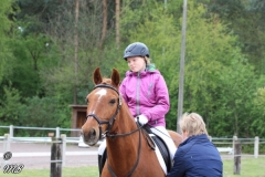 reittunier_201746_20170516_1856657450
