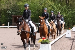 reittunier_201758_20170516_1765001430