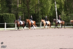 reittunier_201762_20170516_1295914146
