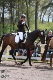 reittunier_201765_20170516_2060208070