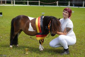 Shettysporttag Möhrenbeißen und Shetty of Dörenthe